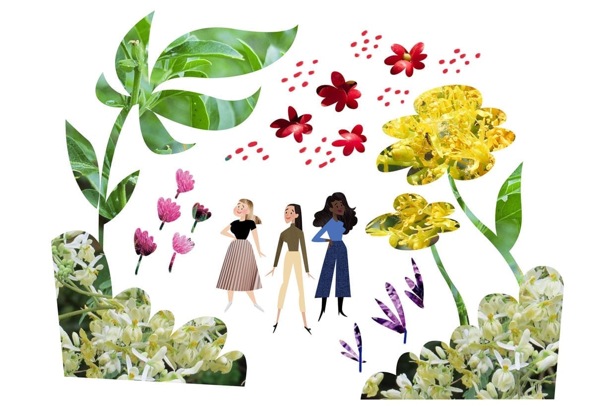 An illustration of three woman walking in a forest of overgrown plants.
