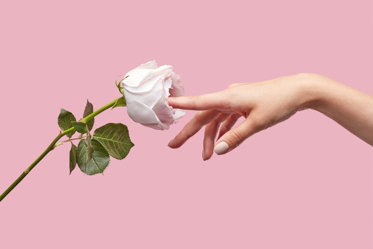 A woman's finger lightly touches a white rose on a pink background.
