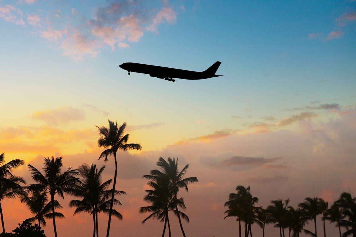 Silhouette of airplane flying over palm trees in sunset.