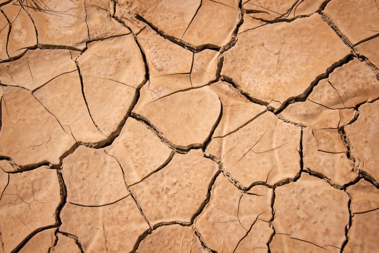 Dry cracked earth.