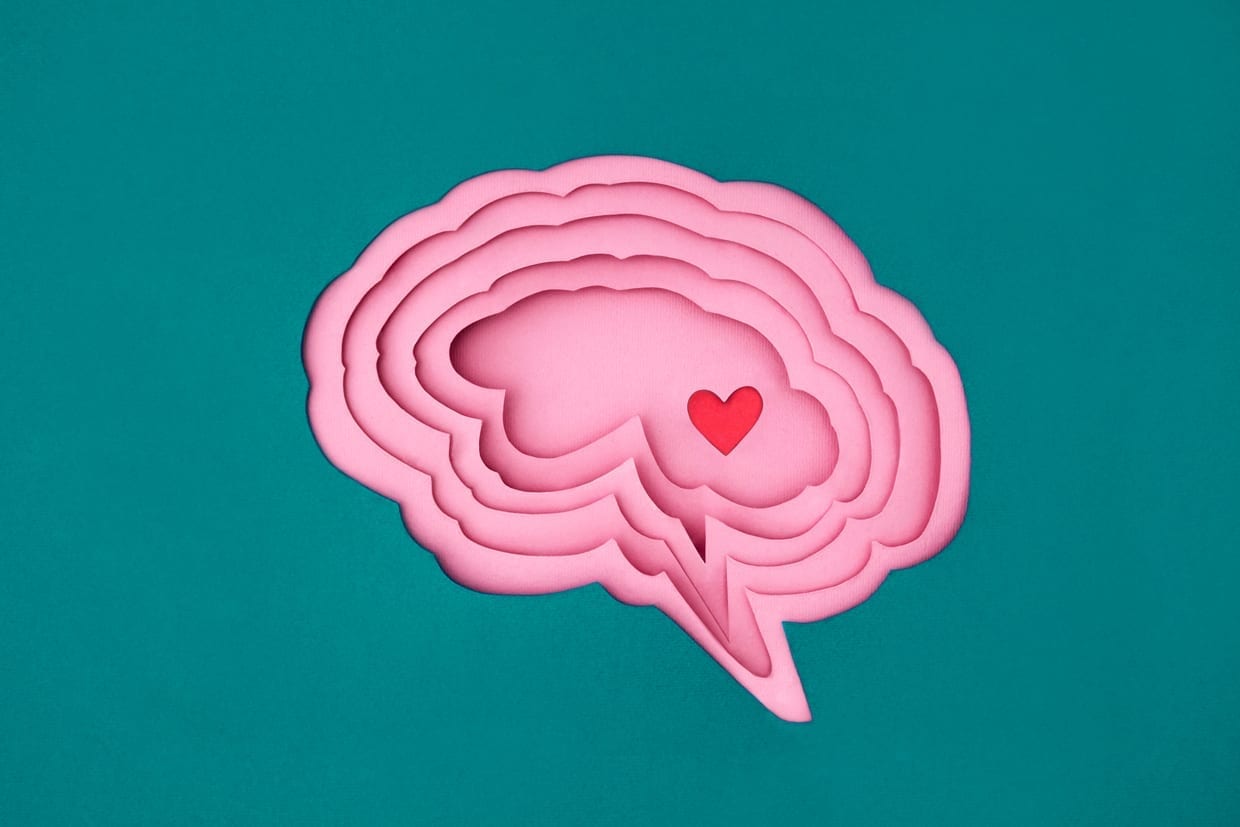 Pink paper brain and small red heart in it.
