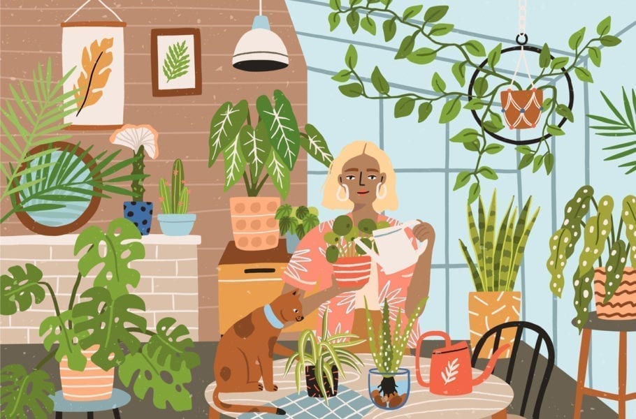 An illustration of a woman watering her house plants.