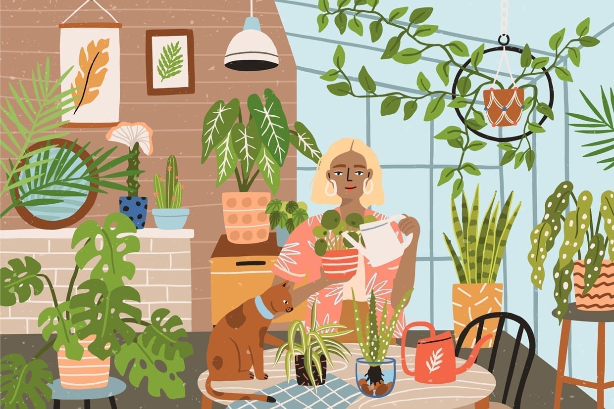 An illustration of a woman watering her house plants.