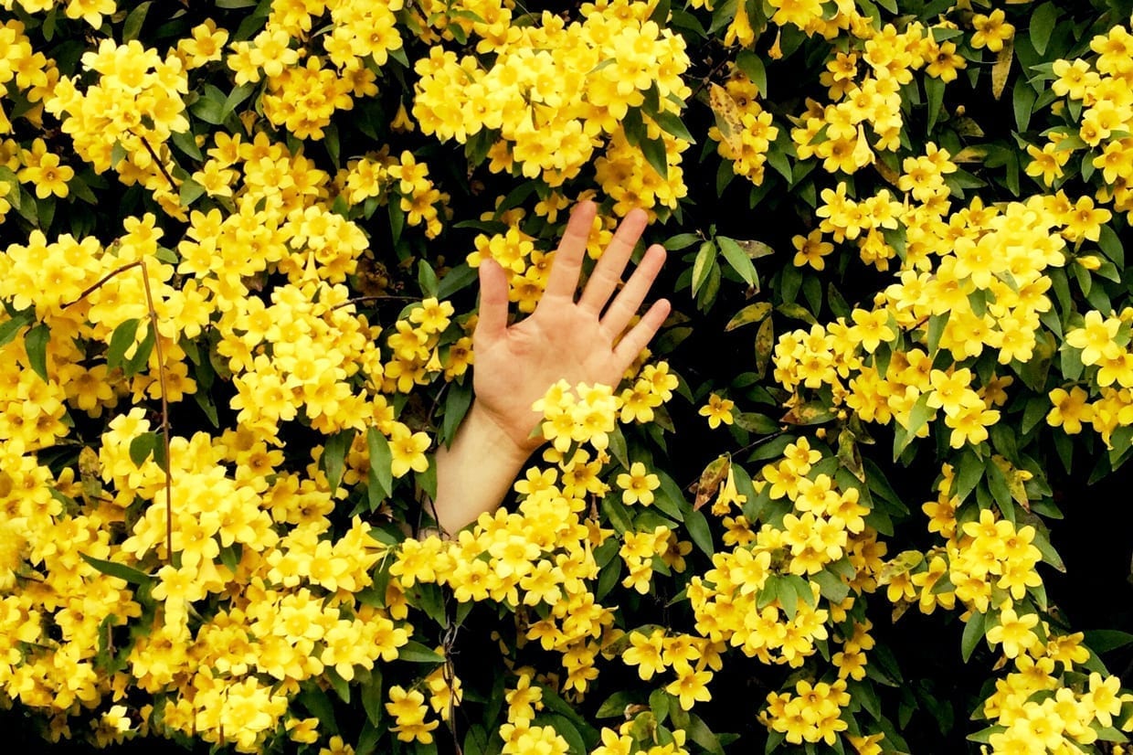 A waving hand within a bunch of flowers.