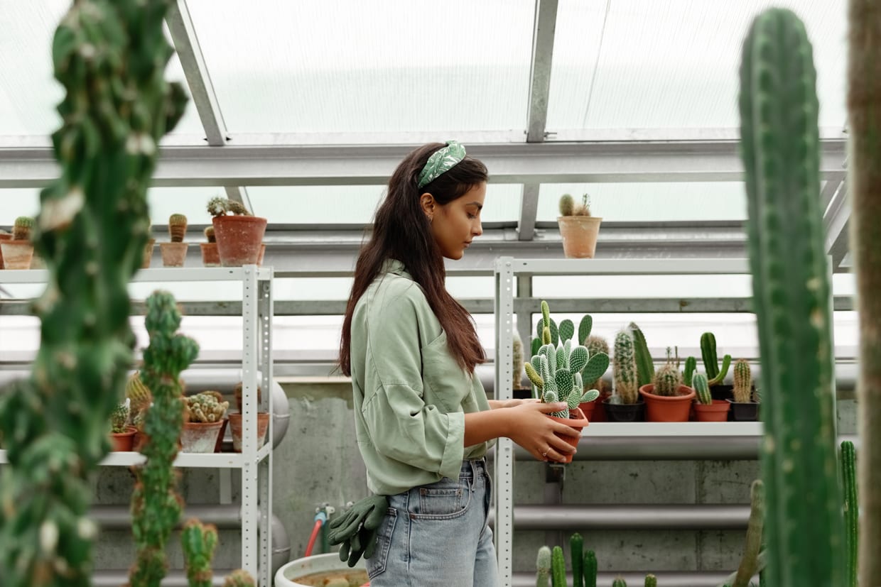 Side view of casual girl working in greenhouse and walking with cactus in flowerpot in hands among shelves.