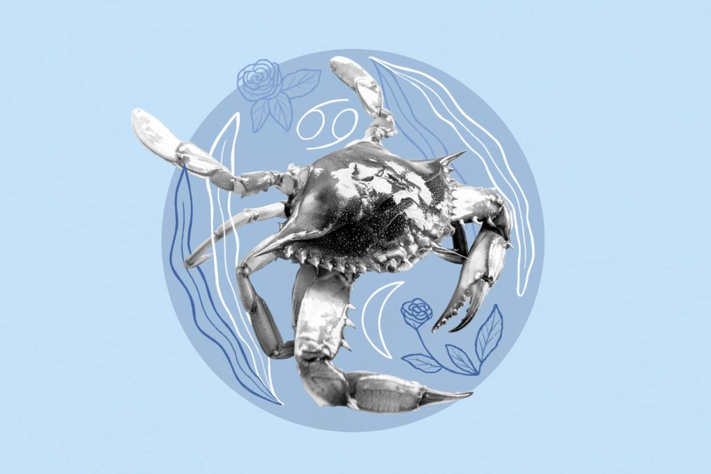 crab on the light blue background