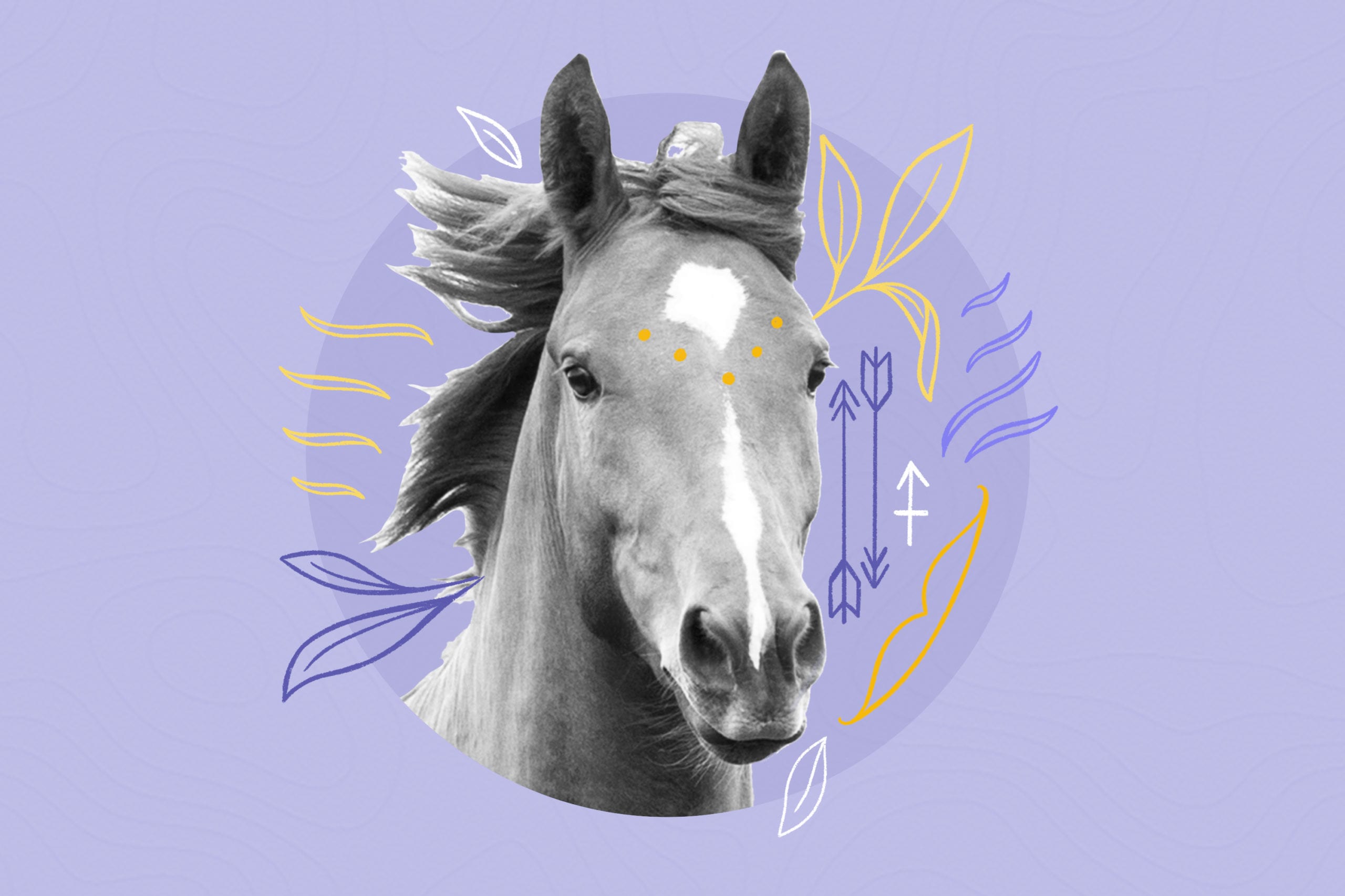 horse on the lilac background