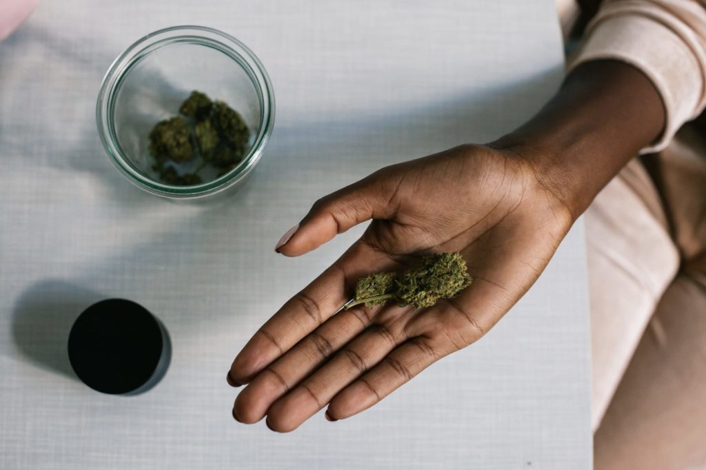 Anonymous black woman sitting in her kitchen and holding a CBD cannabis flower. CBD, short for cannabidiol, is one of several active cannabinoids found in the cannabis plant and is helping patients with a range of ailments.