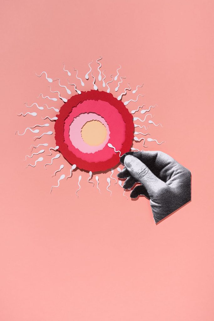 Hand holding an ovule being fertilized by sperm