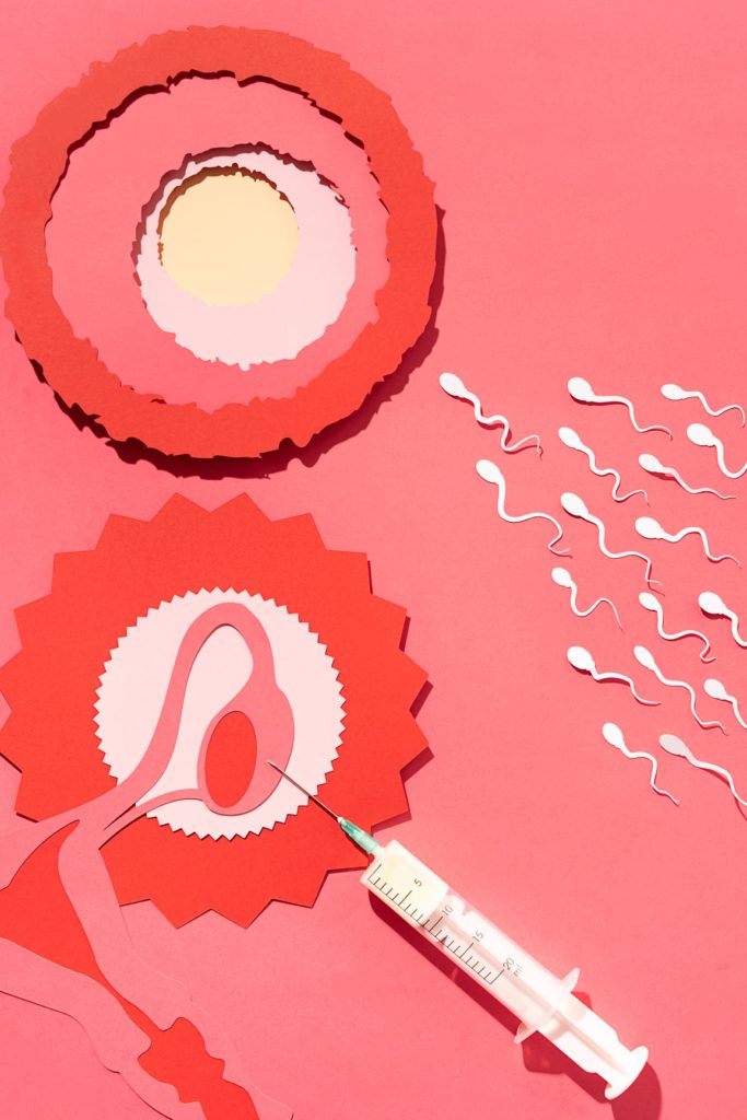 Illustration made with paper and mix media illustration representing the fertilization process