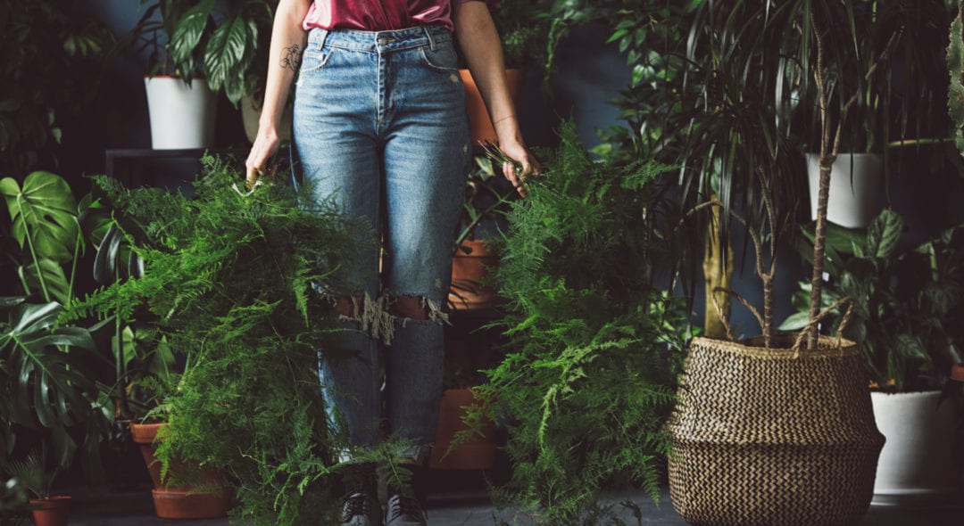 Unrecognisable cropped woman florist holding pots.