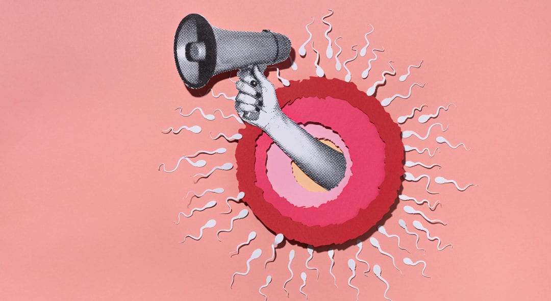 Ovule being fertilized by sperm. Paper and collage.