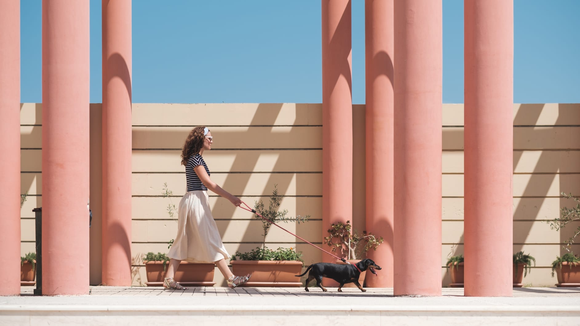 Stylish brunette woman walking with black dachshund among the pastel columns.