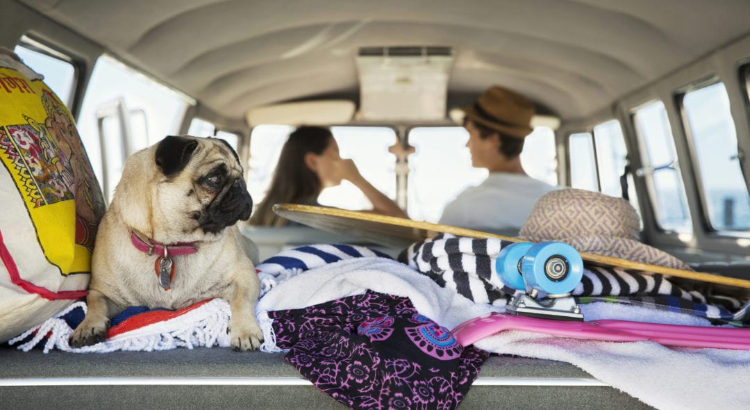 Group of friends with a surf van by the sea