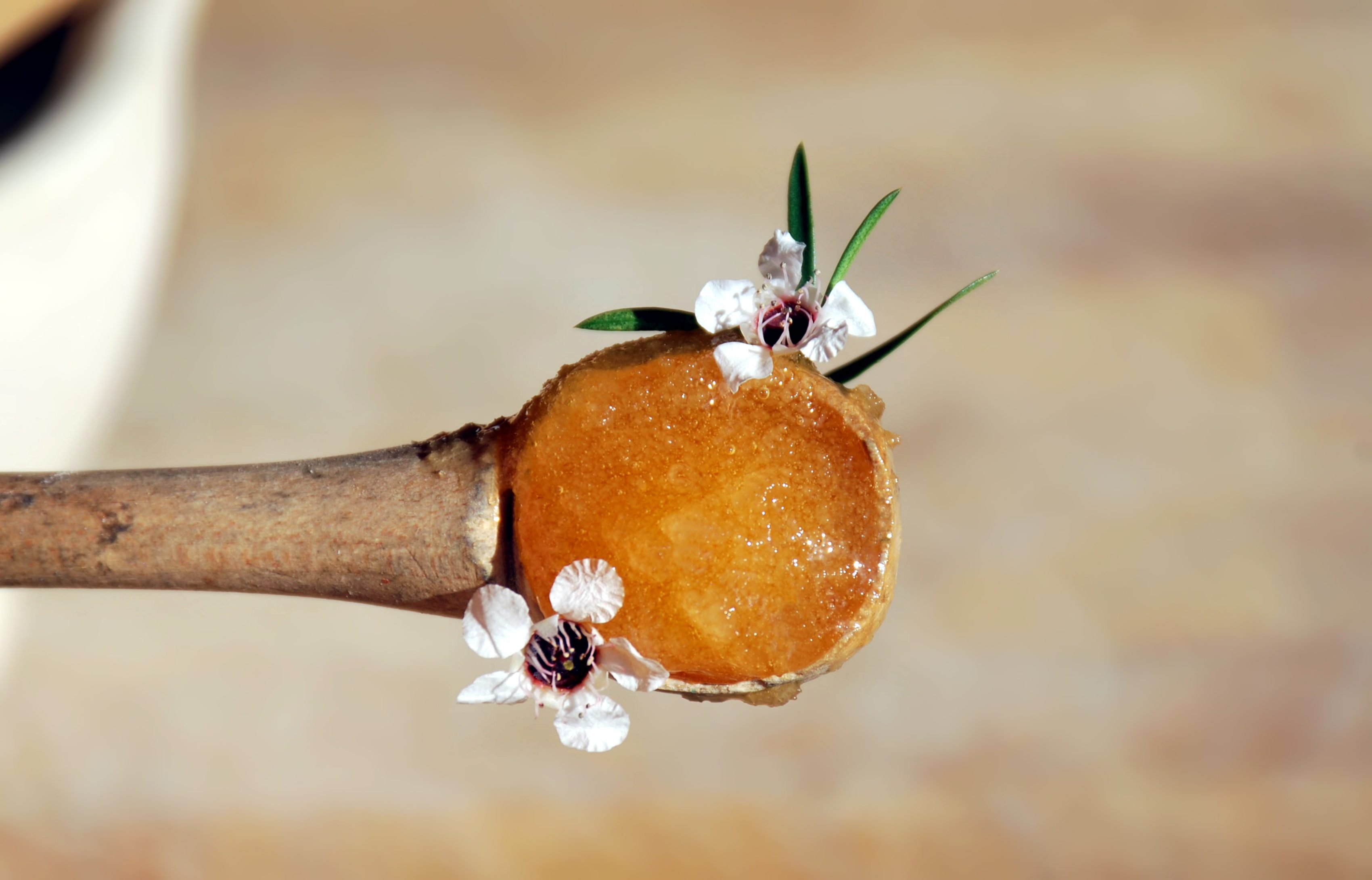 A background of manuka honey in a wooden spoon with a manuka flowers.