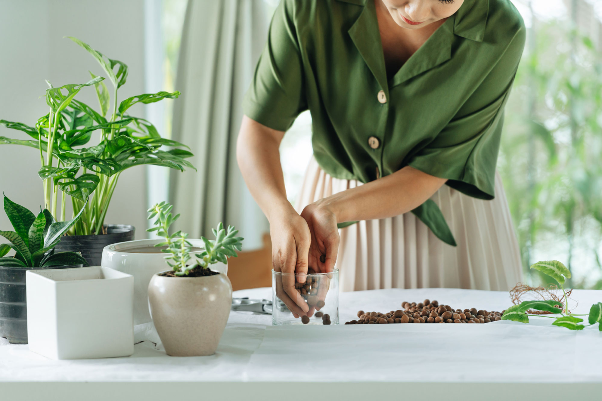 woman placing soil on plant on table