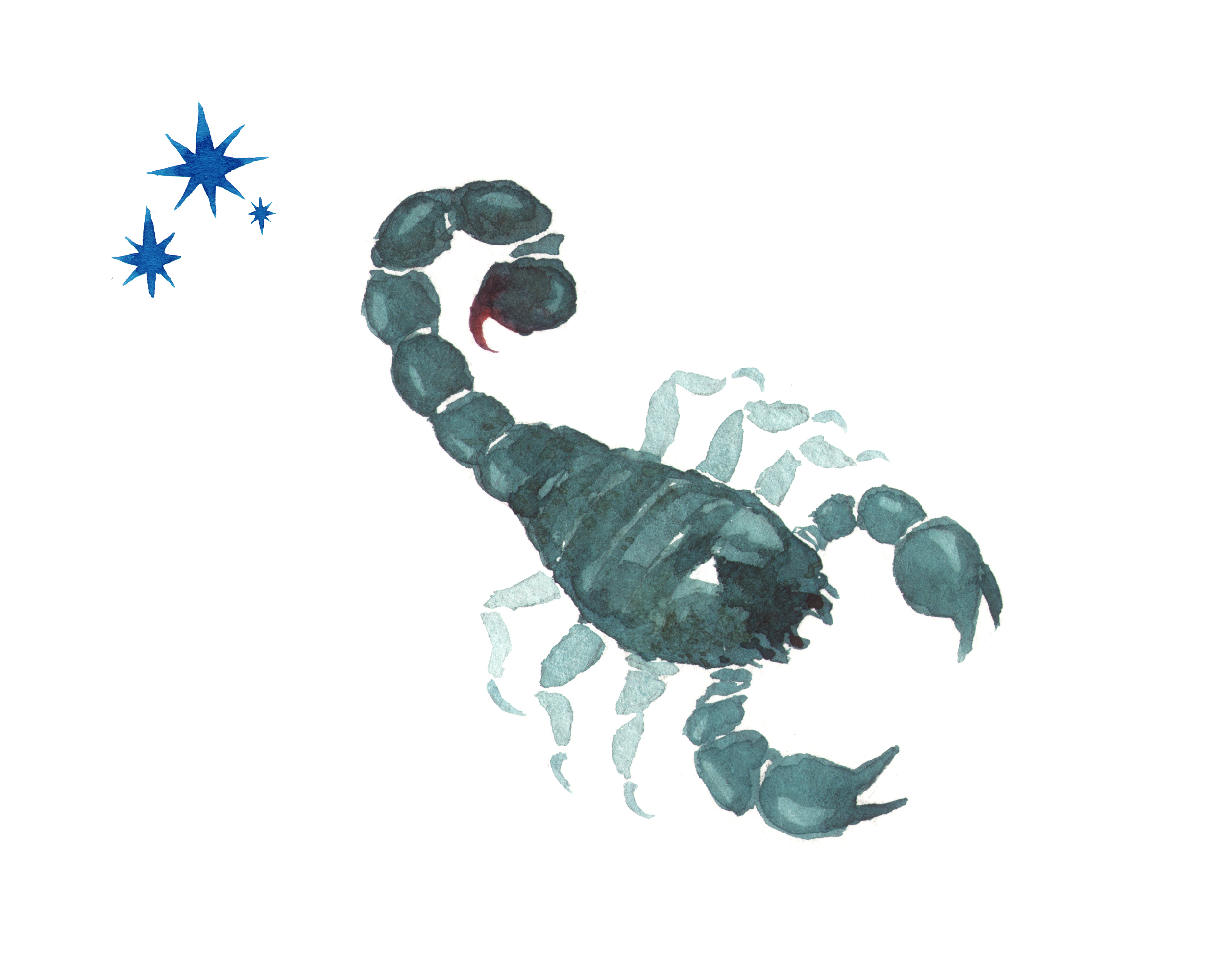 scorpio illustration
