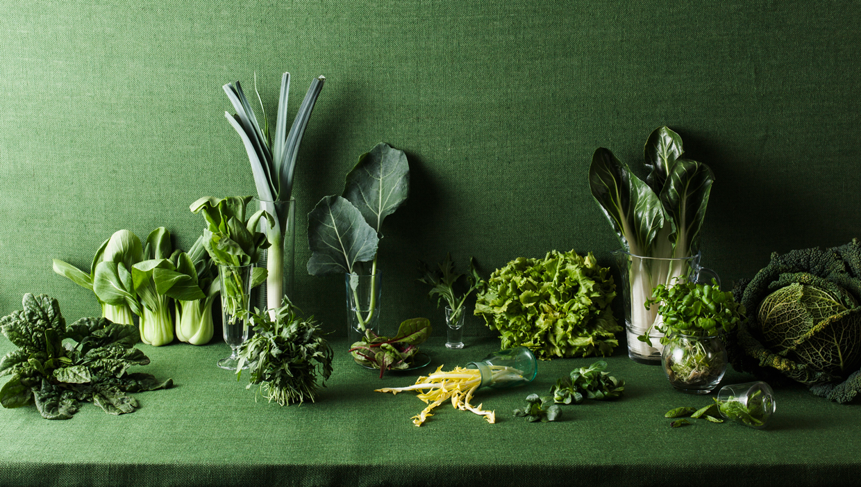 Assorted green vegetables on green table