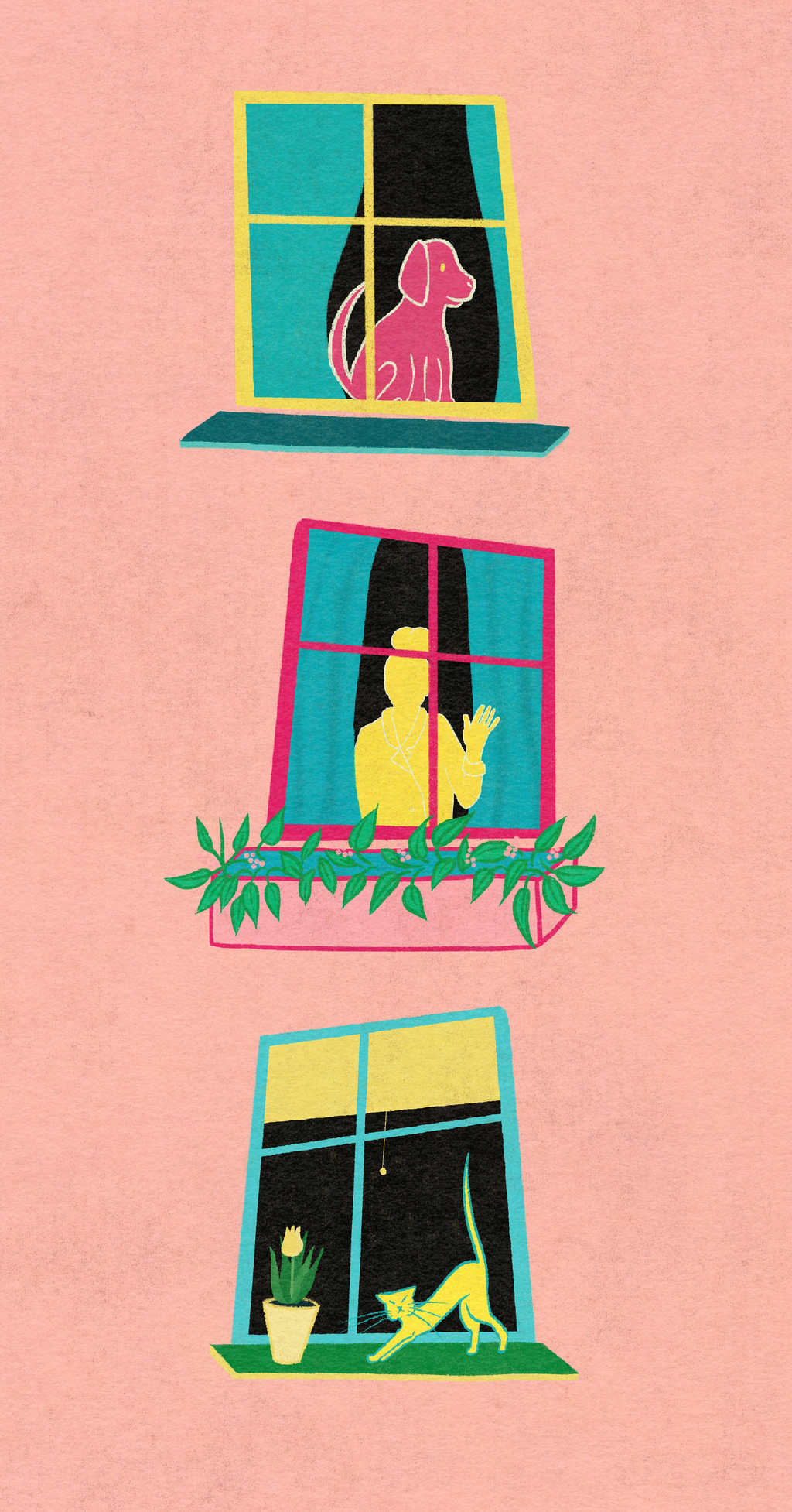 illustration of Three windows with neighbors illustration