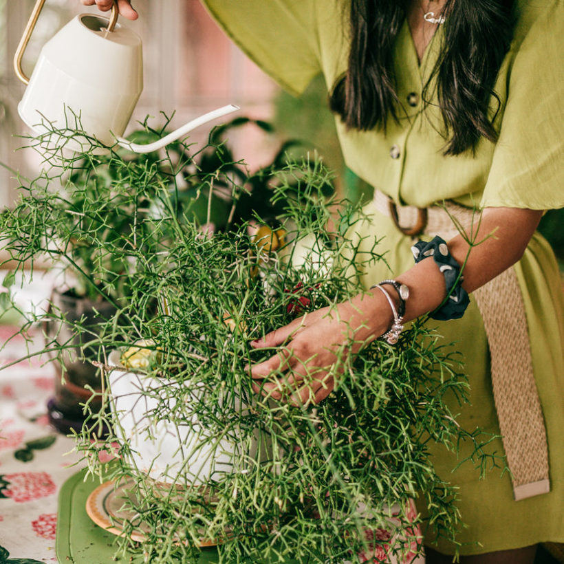 woman watering house plants