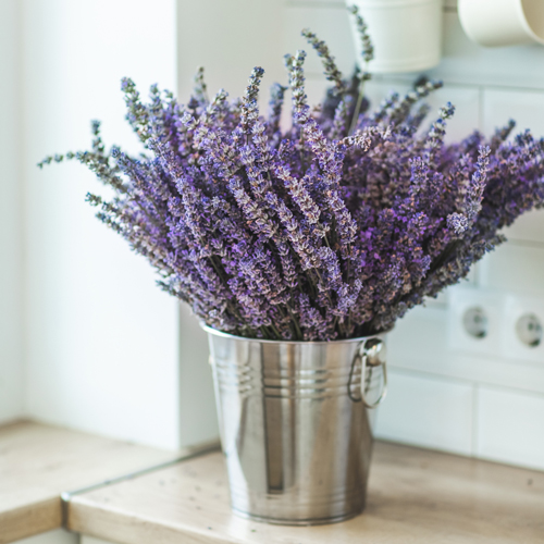 Dried lavender in metal bucket on wooden kitchen