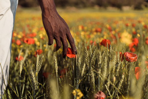 man touching flowers