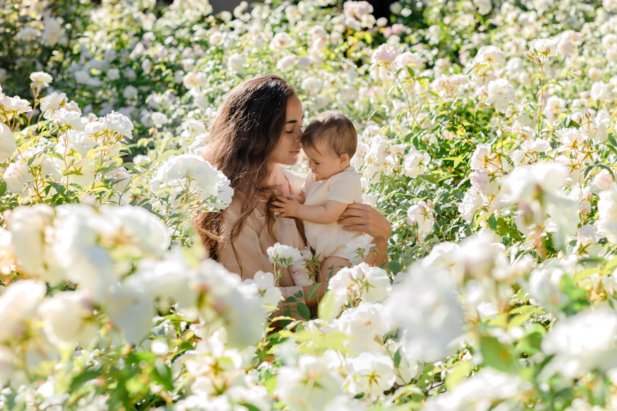 mother and baby girl hugging in a meadow white rose flowers on nature in summer