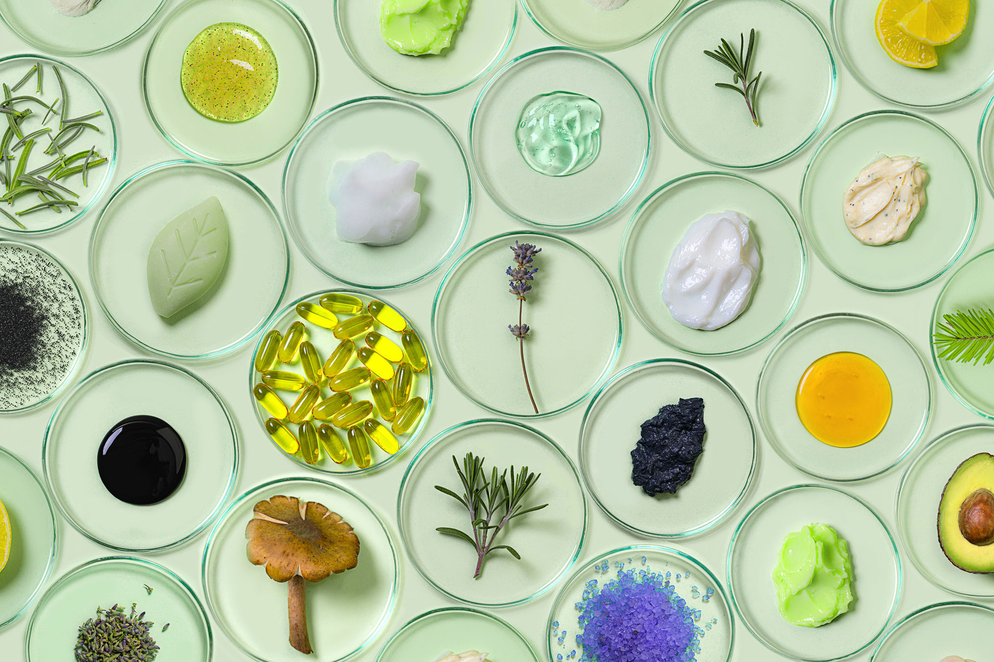 Organic, bio cosmetics healthy concept with Petri Dishes with natural plants and beauty products