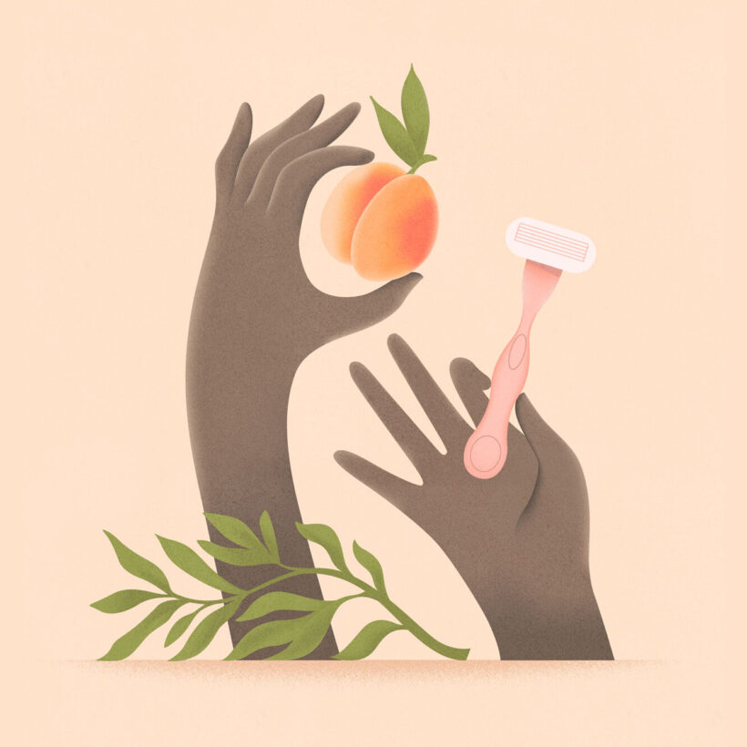 Illustration of Hands With A Razor Shaving A Peach