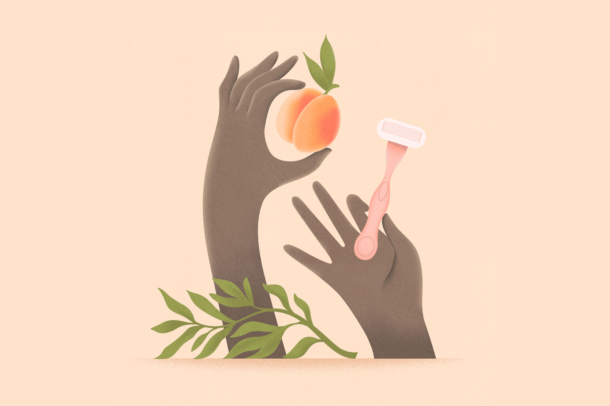 Illustration of Hands With A Razor Shaving A Peach