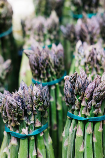 close up shot of asparagus