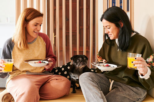 Couple and their pug eating breakfast